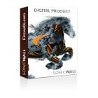 Advanced Gateway Security Suite Bundle for SonicWall TZ300 - 1 Year