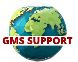Sonicwall GMS & Support